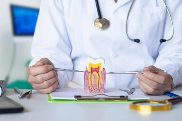Best Walk-In Emergency Dental Services in Mississippi State, MS